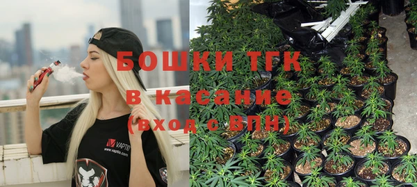 стафф Арсеньев