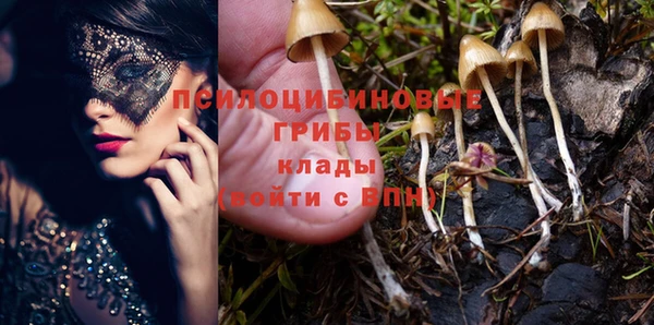 МДПВ Богданович