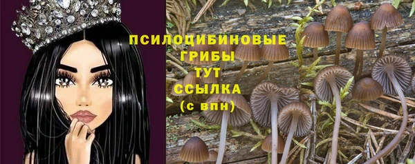 2c-b Балабаново