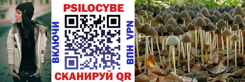 Купить где Семикаракорск Псилоцибиновые грибы мицелий